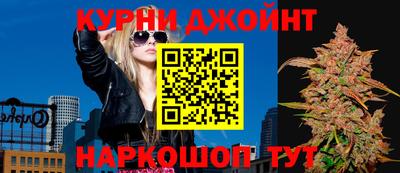 стаф Заводоуковск