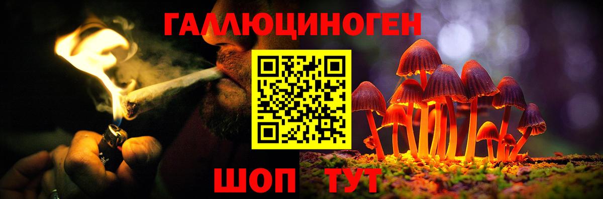 Галлюциногенные грибы Cubensis  Вход с VPN  Луховицы 